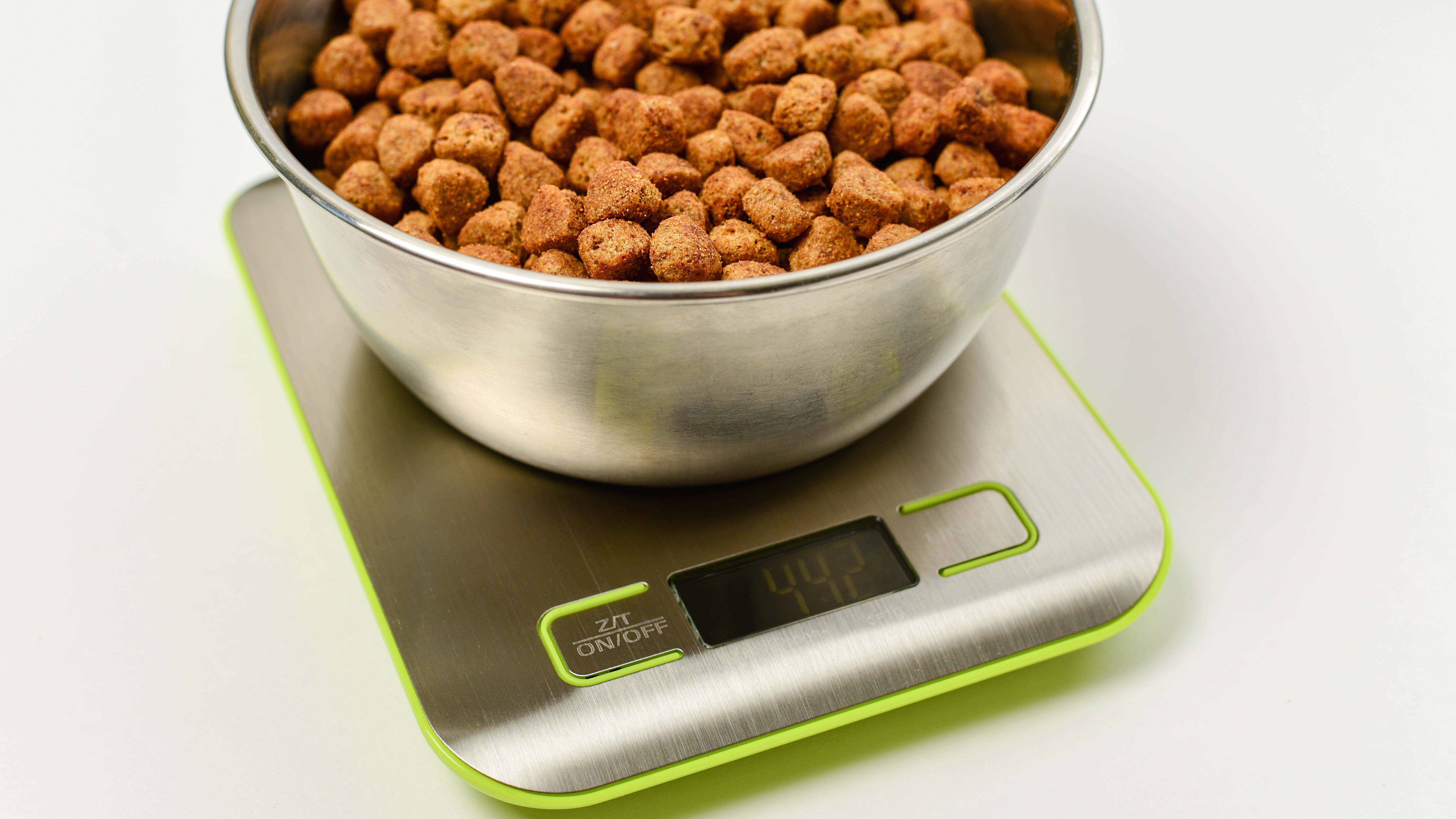 A kitchen scale on a countertop holding a bowl of dry puppy kibble being weighed for portion control