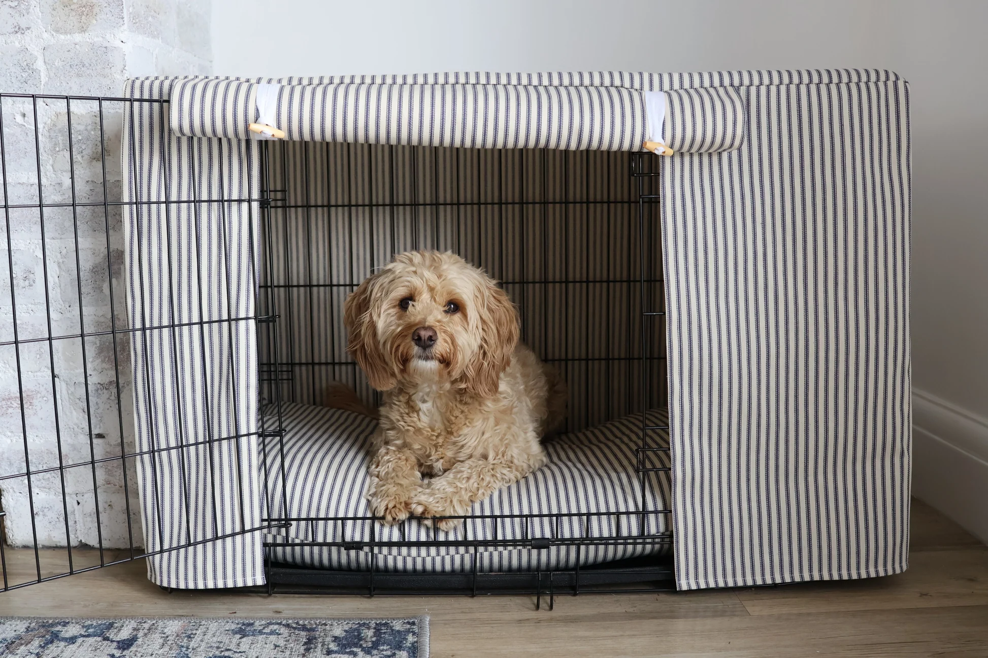 A small puppy resting quietly inside a crate with a light blanket cover draped over part of the crate in a peaceful room