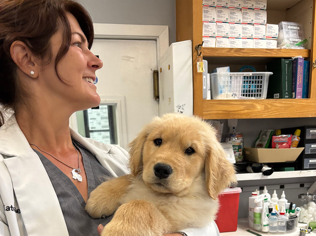 7 Warning Signs Your Puppy Needs a Vet Immediately